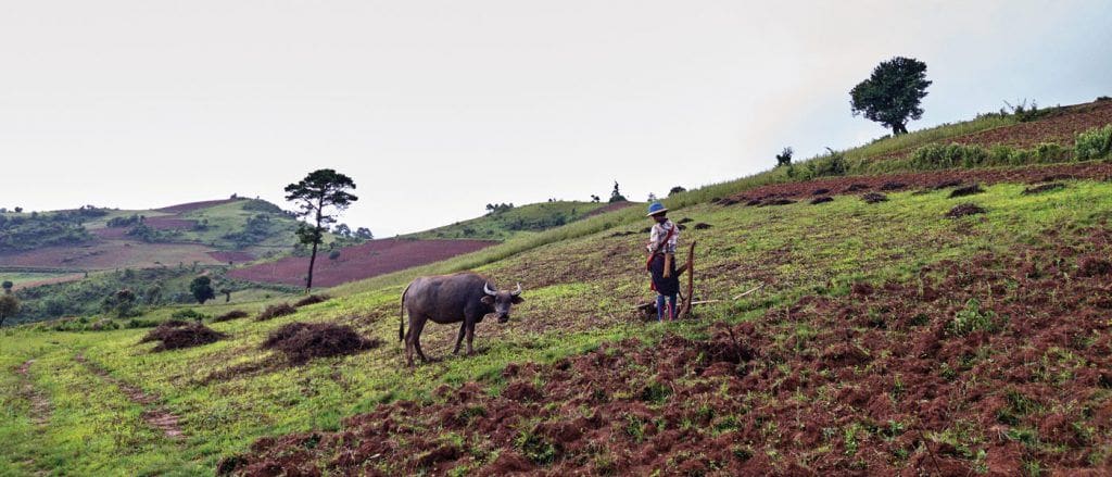The Symmetry of an Unexplored World