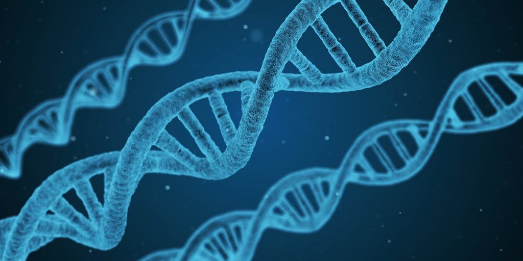 CRISPR – the future of Genetics?