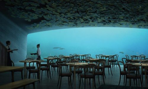 M2now.com - The Culinary Experience - Tea Under The Sea