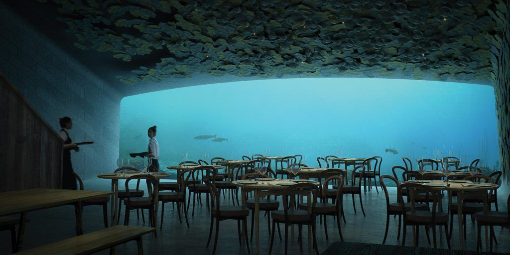 The Culinary Experience – Under The Ocean