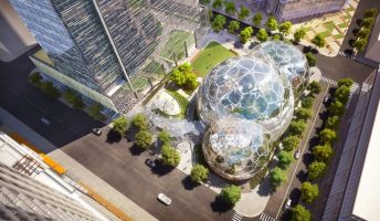 amazon-spheres-4