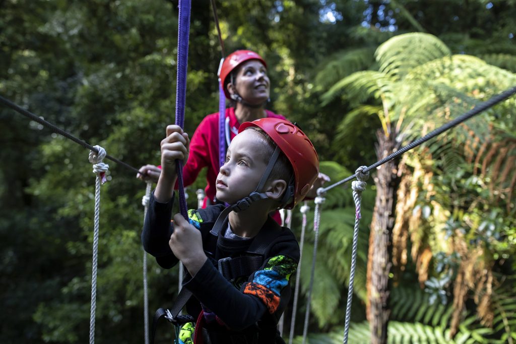Rotorua Canopy Tours: Thrills From Above