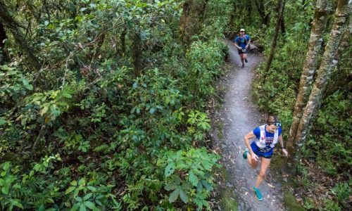 2017 Tarawera Ultra Marathon