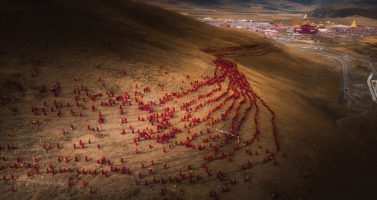 4135_11647_LifengChen_China_NationalAwards_CultureOpencompetition_2019