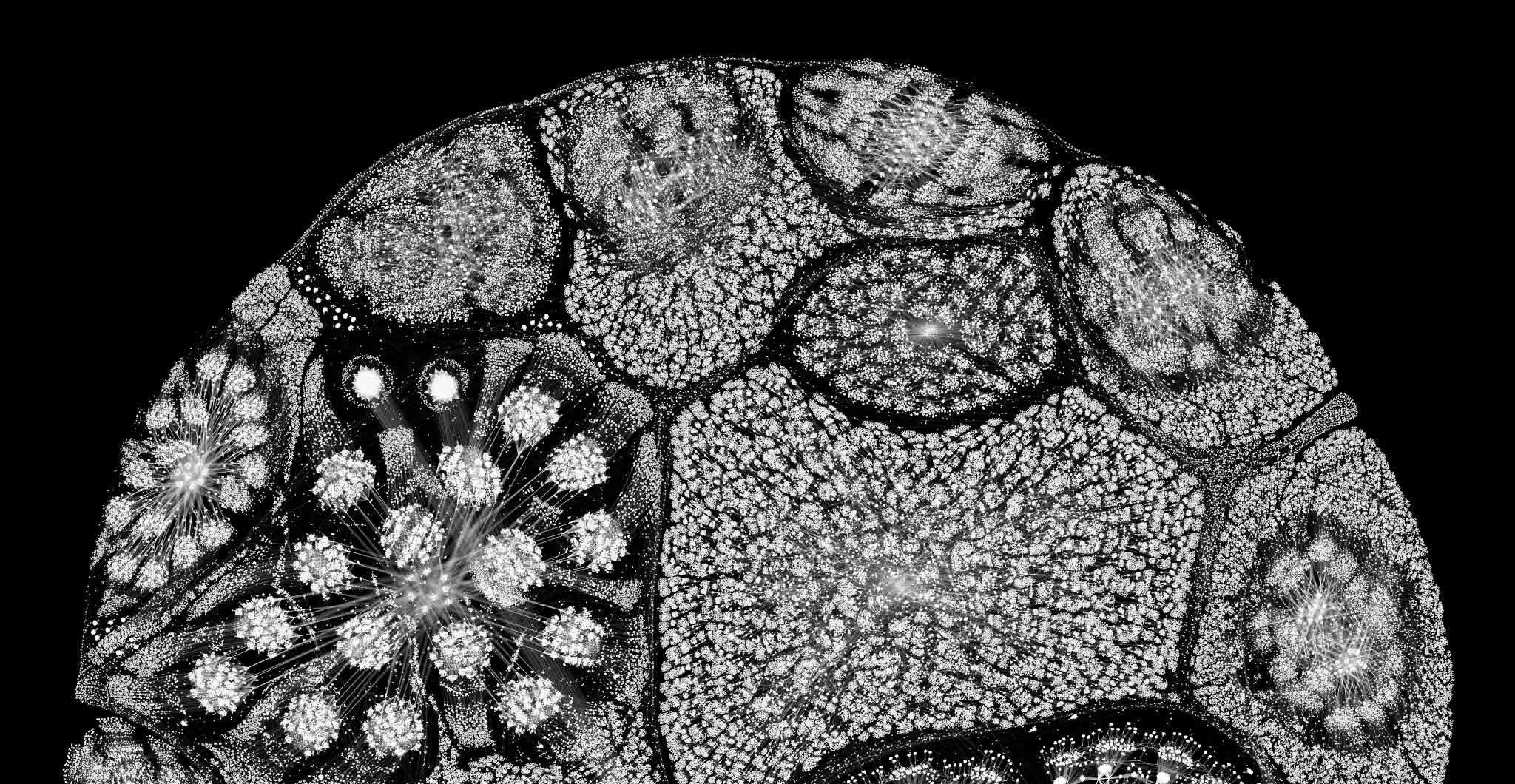resnet-b&w-half resnet-b&w-half