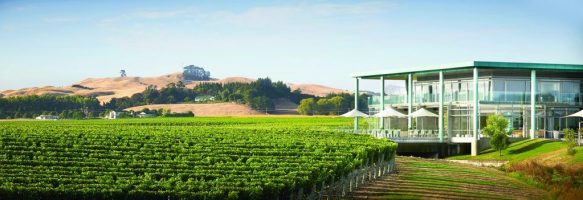 elephant-hill-winery-is-doing-free-shipping-and-a-special-code-for-all-m2-readers-te-awanga-sauvignon-blanc-block-m2magazine.co.nz-1024x351