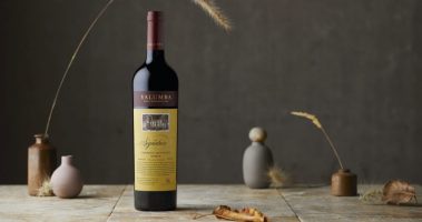 M2now.com - Wine Going Vegan