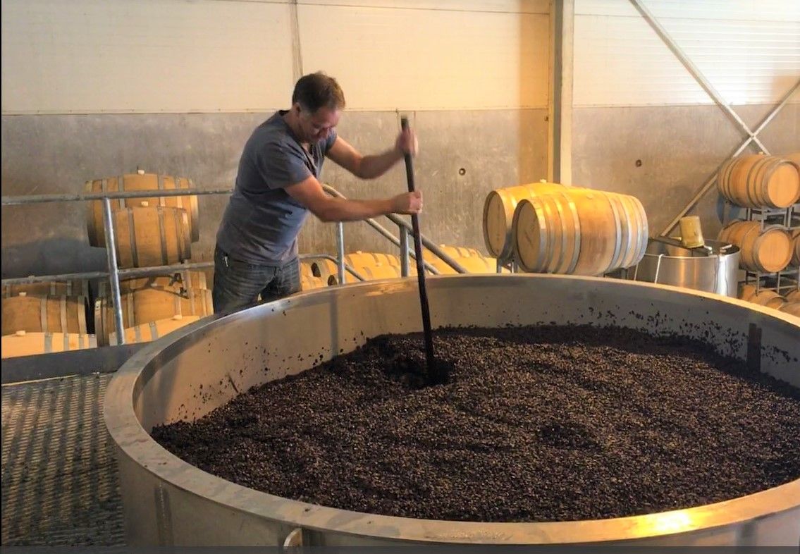 The Making of a Winemaker