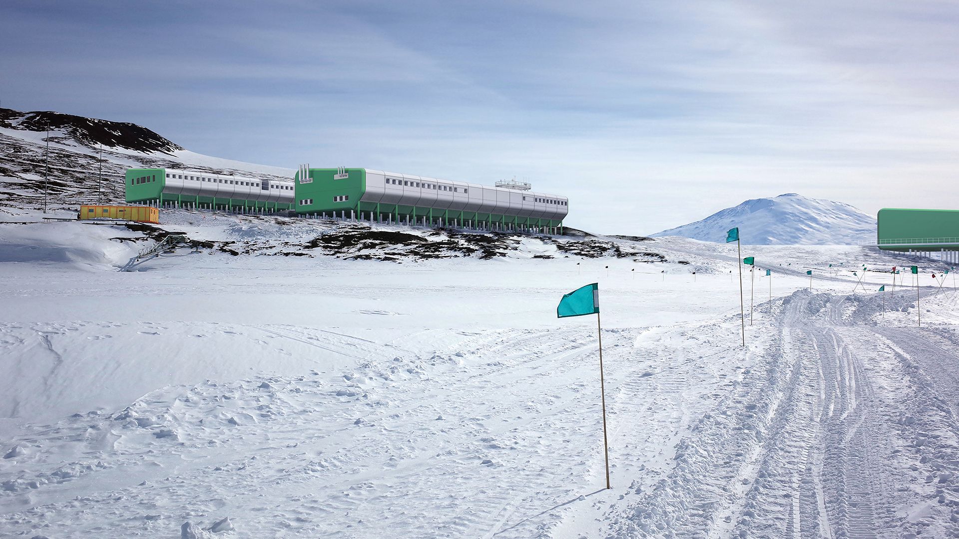 A Green Tick In Antarctica