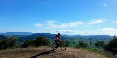 M2now.com- mountain biking in rotorua nzs gold level destination
