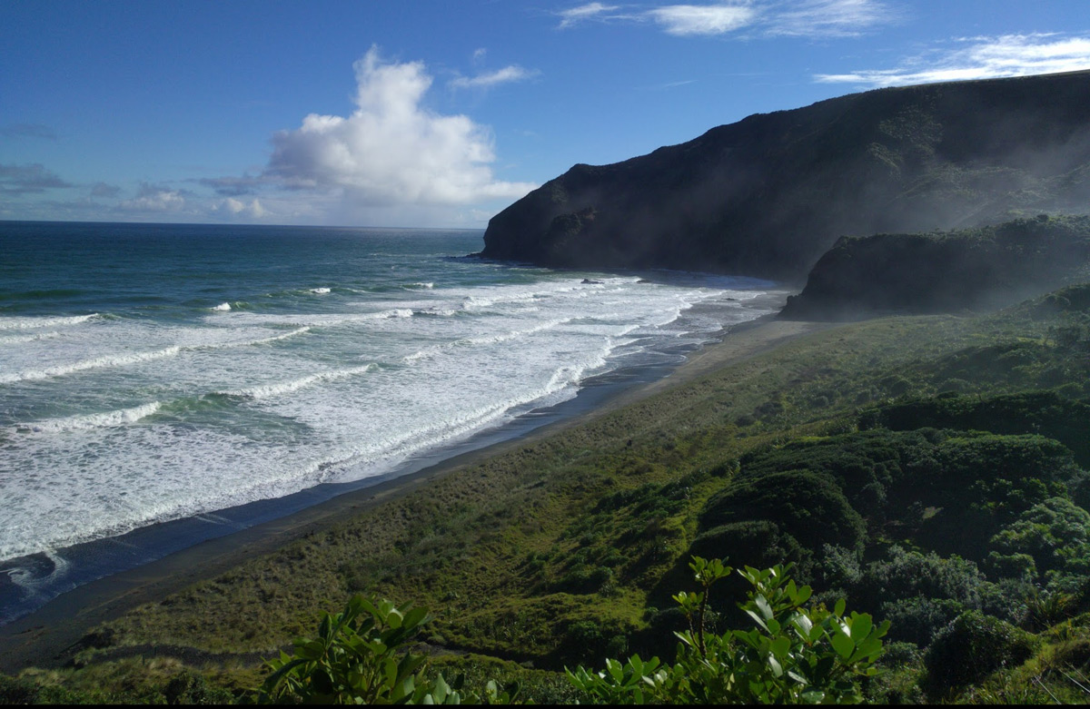 m2-hillary-trail-te-henga-walkway