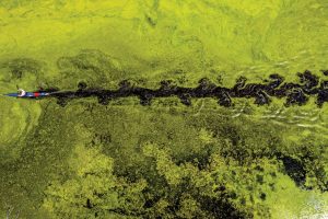 M2 Photo Series: Grass Is Greener
