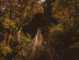 m2-day-hiking-nz