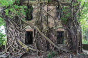 M2now.com - This Photographer Captures Amazing Pictures of Nature Reclaiming Civilization