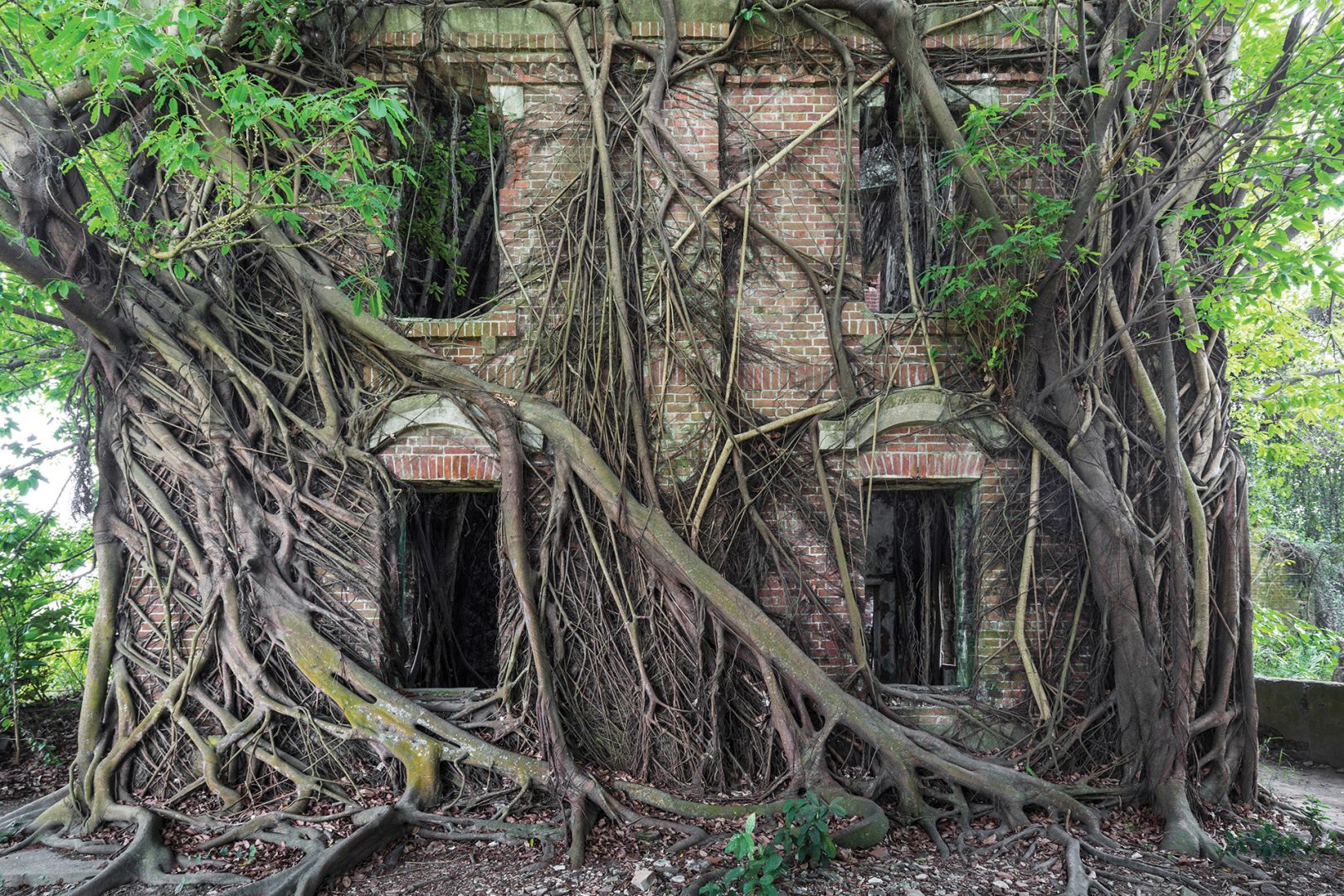 This Photographer Captures Amazing Pictures of Nature Reclaiming Civilization