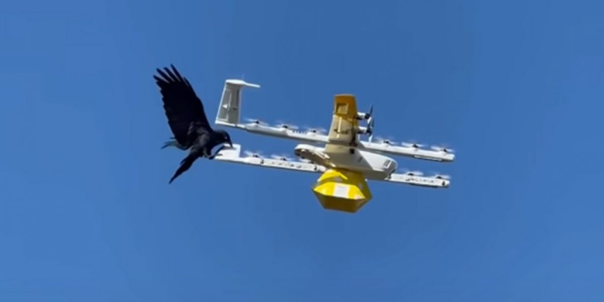 raven-drone