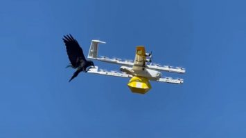 raven-drone