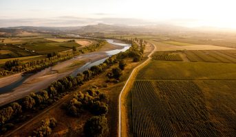 m2-te-mata-hawkes-bay