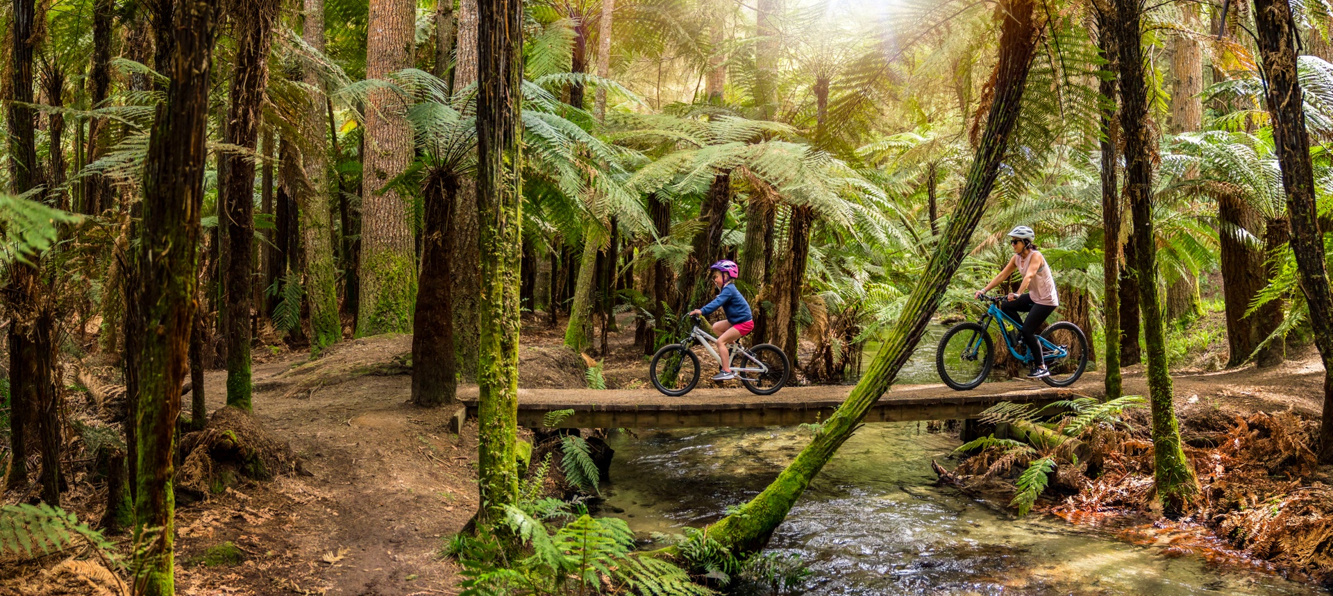 Heading To Rotorua? Here Are Our Top Free Must-Sees