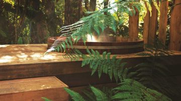 M2now.com - Find Luxury Amongst Nature At Treetops Estate m2-rotorua-lodge