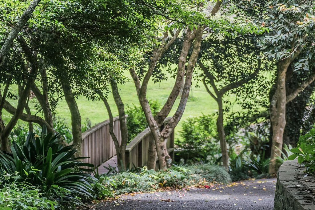 The Best Spots To Stroll In South Auckland