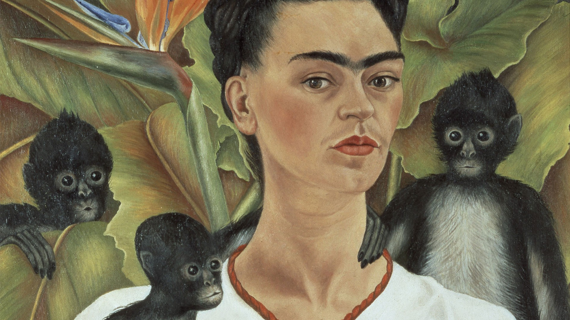 See Frida Kahlo Artwork in the Flesh At Auckland Art Gallery
