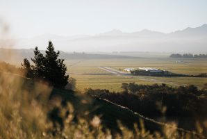 M2now.com - 007 Secrets to Building A Sustainable Wine Brand