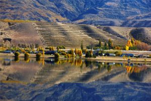 M2now.com - Discover the World Beyond Your Central Otago Wine Glass