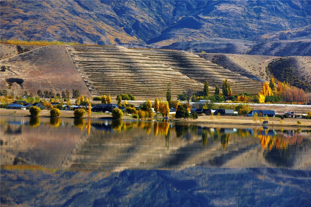 Discover the World Beyond Your Central Otago Wine Glass