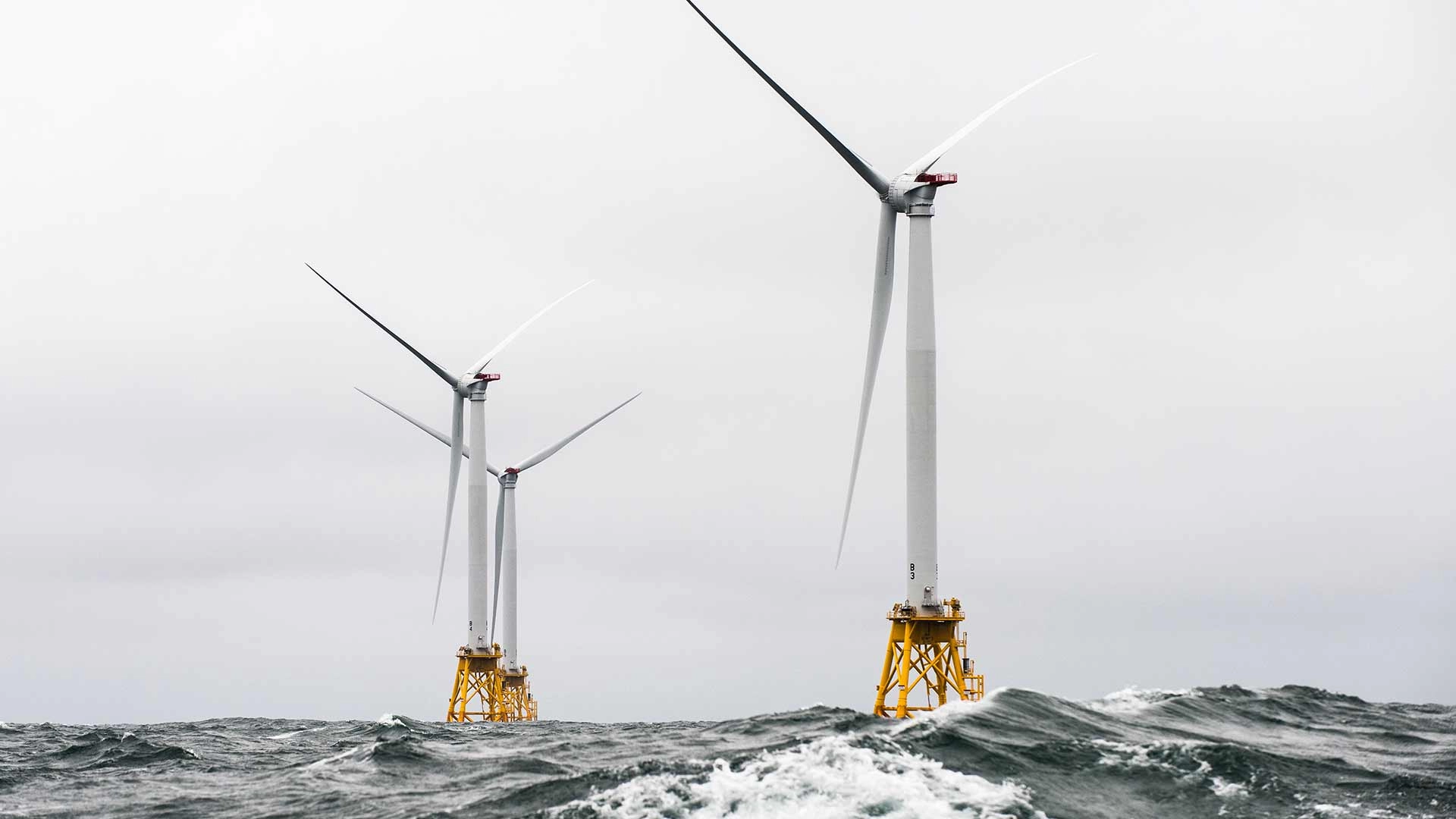 On Offshore Wind Farms, Seafood Production May Be a Breeze