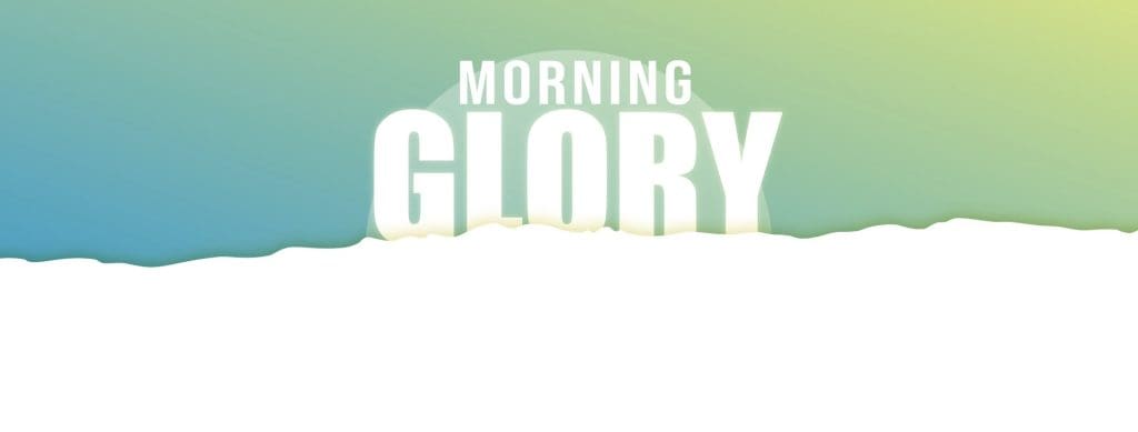 Wairarapa’s New Easter Weekender: Morning Glory Announces First Line-up