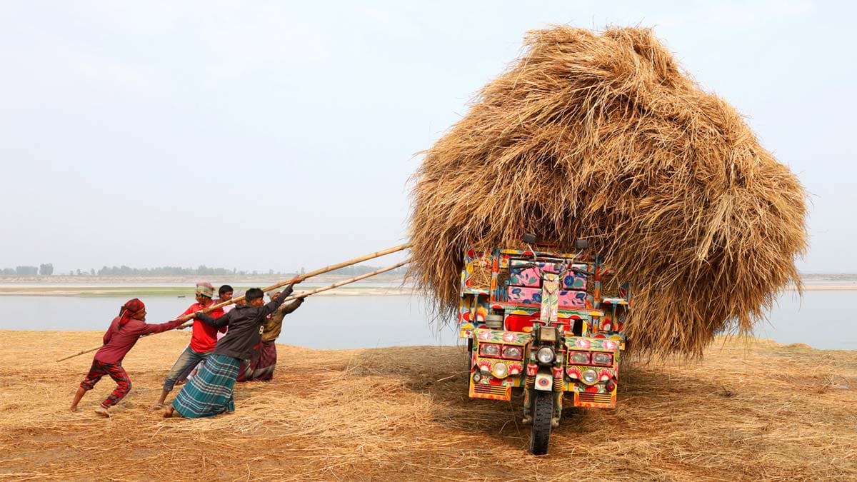 Pictures That Move. You.