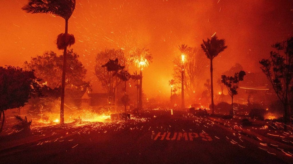 The World Burns